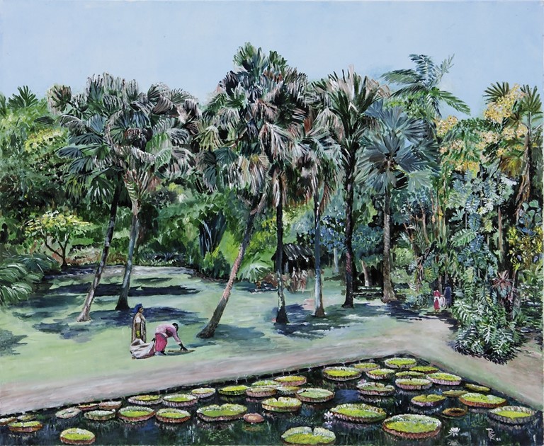 Ile Maurice : Jardin De Pamplemousse