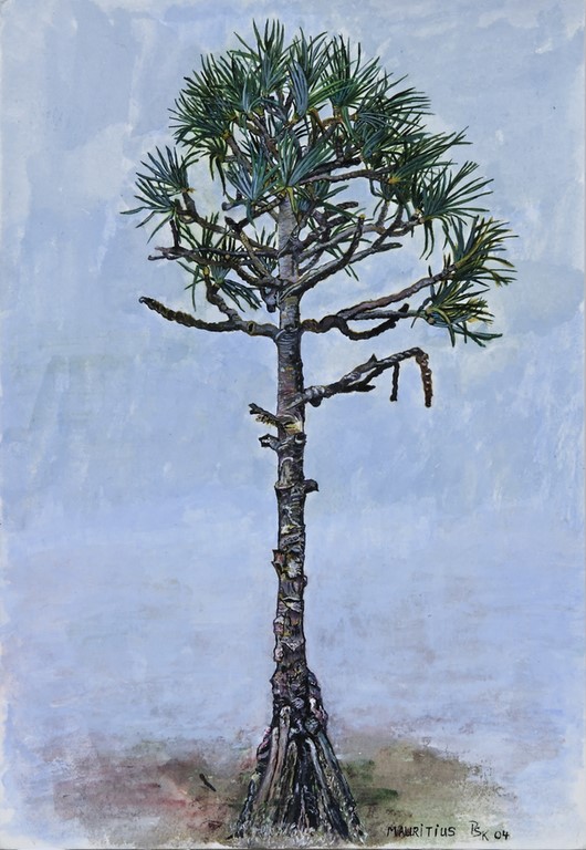 Ile Maurice : L'arbre Solitaire