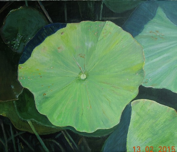Vietnam : Feuille De Lotus Vietnam : Feuille De Lotus