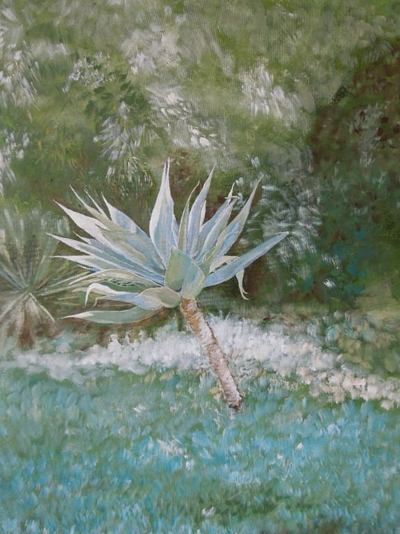 La Plante De L'Ile Maurice