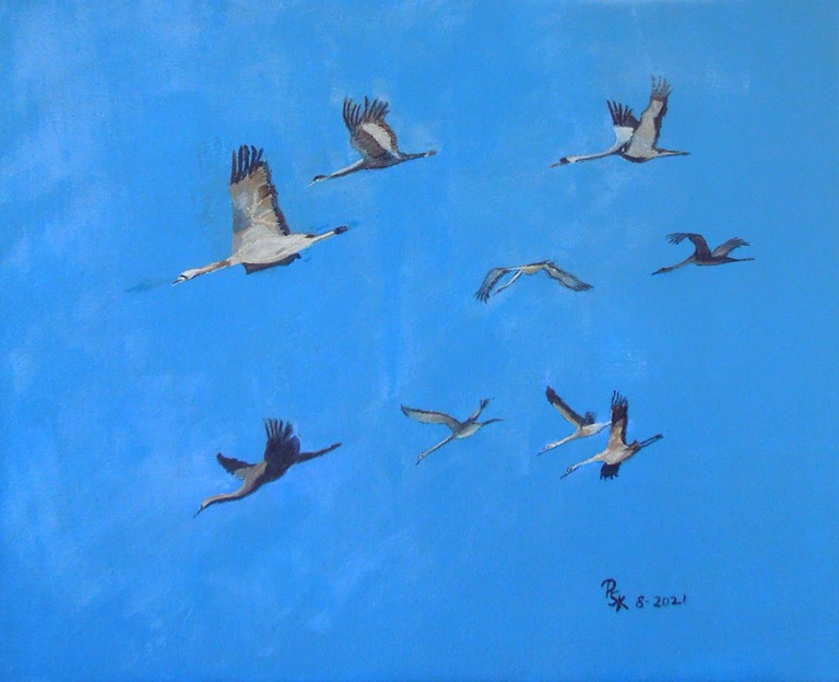 Le vol des Grues Le vol des Grues