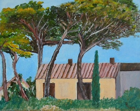 Pins parasols de Bandol